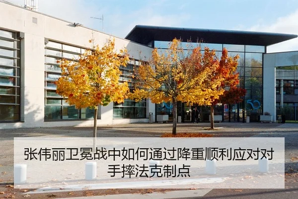 张伟丽卫冕战中如何通过降重顺利应对对手摔法克制点